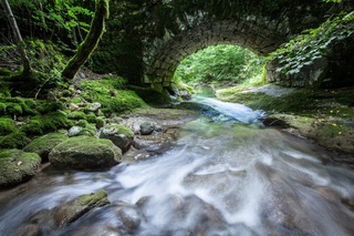 L'Arvière _ Rivières Sauvages L'Arvière _ Rivières Sauvages